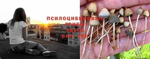 твердый Дмитровск