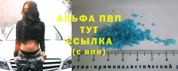 мяу мяу мука Кущёвская