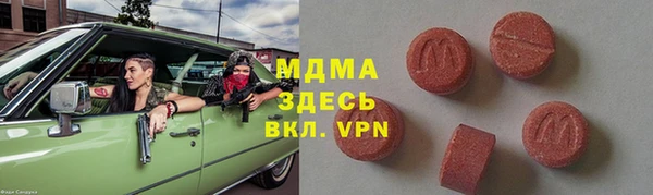 индика Зеленодольск