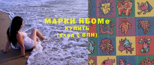 твердый Дмитровск