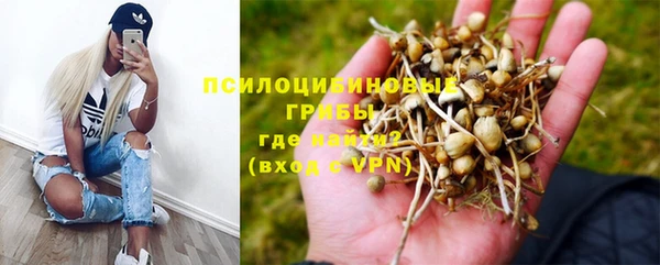 твердый Дмитровск