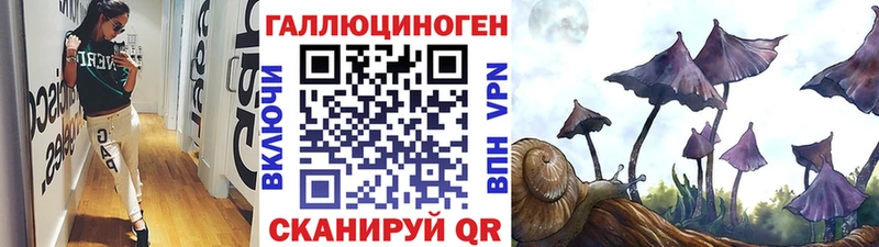 закладки  Краснозаводск  Галлюциногенные грибы Magic Shrooms 